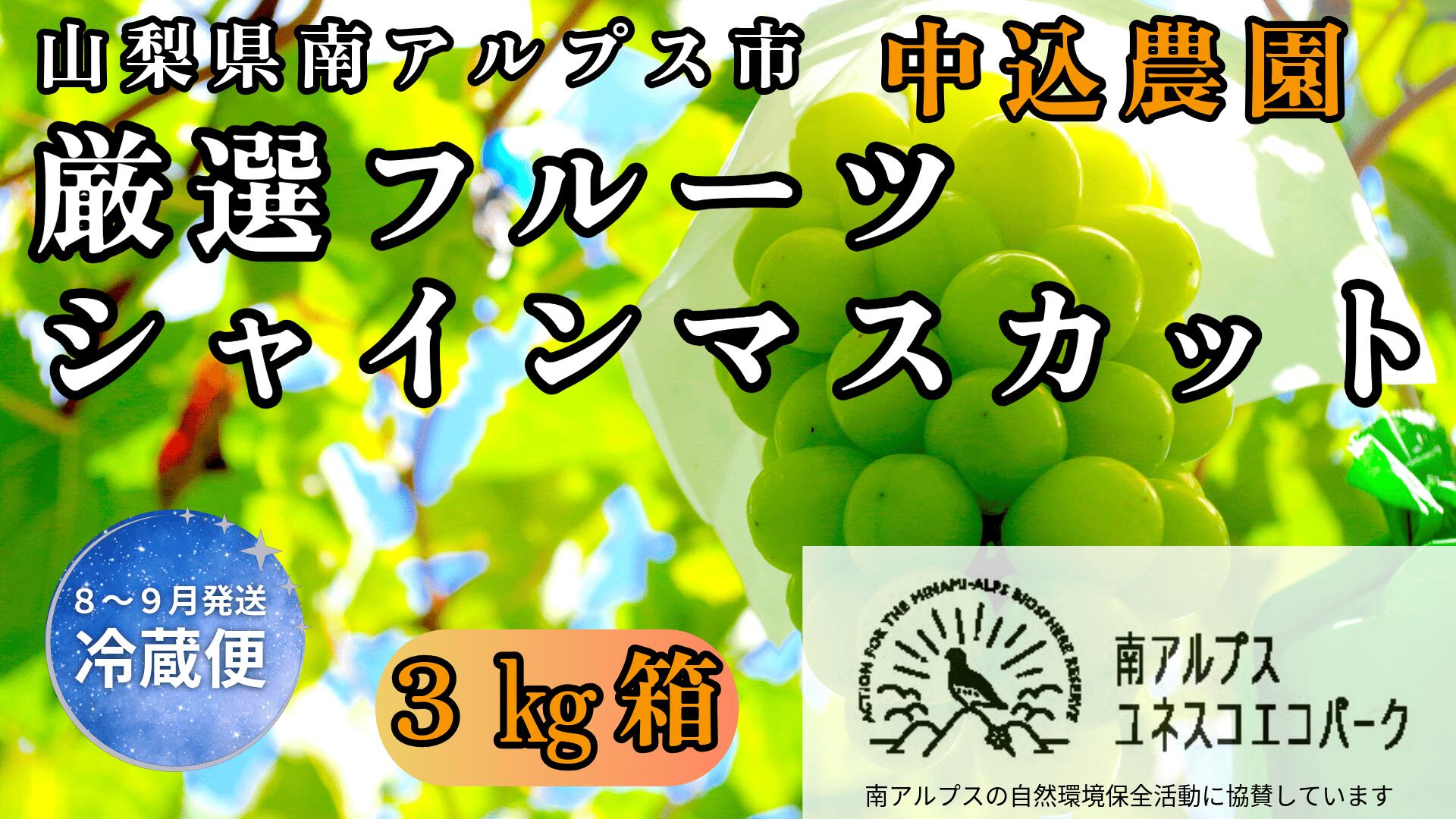 【ふるさと納税】＜2026年発送先行予約＞ 山梨県南アルプス市産 厳選 シャインマスカット 3kg 山梨県南アルプス市産 ふるさと納税 シャイン シャインマスカット ぶどう ブドウ 葡萄 果物 フルーツ おすすめ 山梨県 南アルプス市 送料無料 ALPEM011