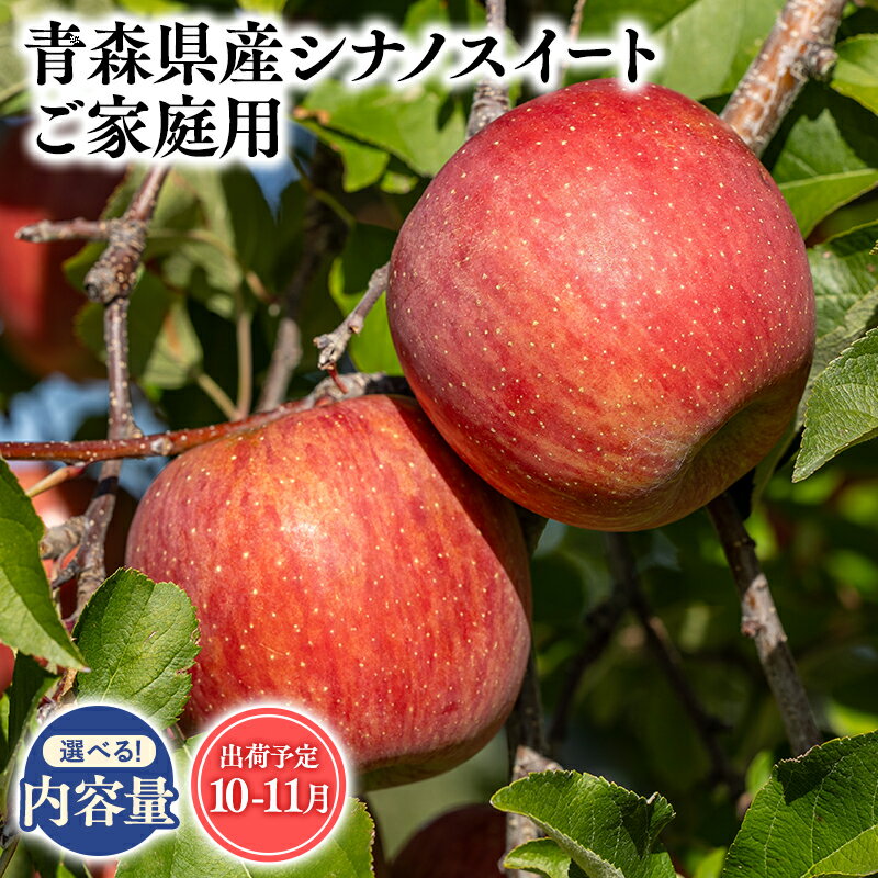 【ふるさと納税】2025年度産 先行予約!≪内容量が選べる≫青森県産 訳あり シナノスイート 3kg 5kg 10kg【青森県 平川市 そと川りんご園】10月〜11月発送 家庭用 青森 青森県産 平川 りんご リンゴ 林檎 くだもの 果物 フルーツ レビューキャンペーン