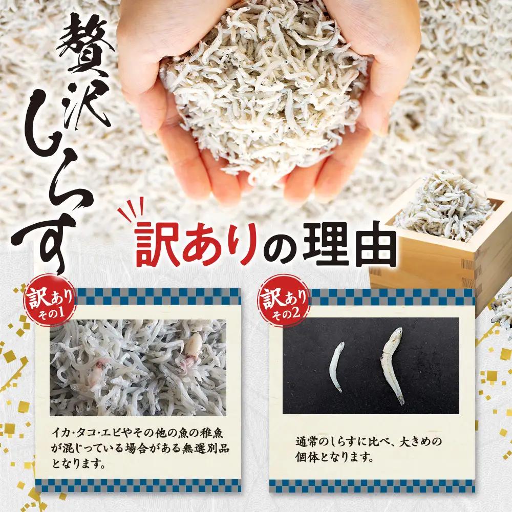 生しらす 400g 訳あり しらす干し 1kg セット 冷凍 刺身 真空パック 山庄