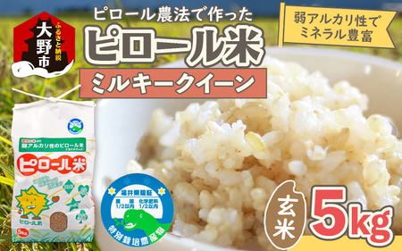 【先行予約】【令和7年産 新米】ミネラル豊富！弱アルカリ性のピロール米 ミルキークイーン 玄米 5kg 化学肥料5割以下・減農薬[A-008003]