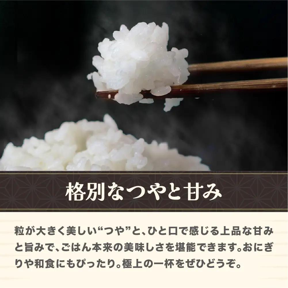 新米 令和8年産 玄米 つや姫 10kg ja-tsgxb10
