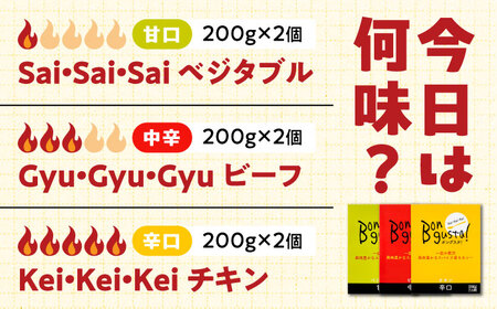 レトルトカレー「ボングスタ！」６個詰め合わせ