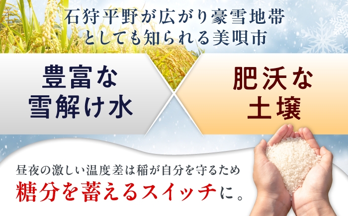 精米 お米 米 北海道 北海道米 白米 ご飯 こめ コメ ライス