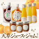 【ふるさと納税】ジュース ジャム セット AMAKUSA JUICE 天草晩柑 でこミックス ぽんかん フルーツジャム いちじく デコ&ライム レモン&ライム 苺ジャム デコ蜜柑ジャム 柑橘 天草産 熊本県産 九州産 果汁 飲料 加工品 お取りよせ 食の天草 にじ 熊本県 天草市 送料無料