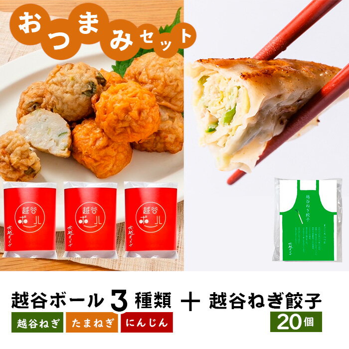【ふるさと納税】おつまみセット（越谷ボール3種類、越谷ねぎ餃子20個） ／ 惣菜 おかず ツマミ さつま揚げ ぎょうざ ギョウザ 越谷ネギ たまねぎ にんじん 送料無料 埼玉県 No.246