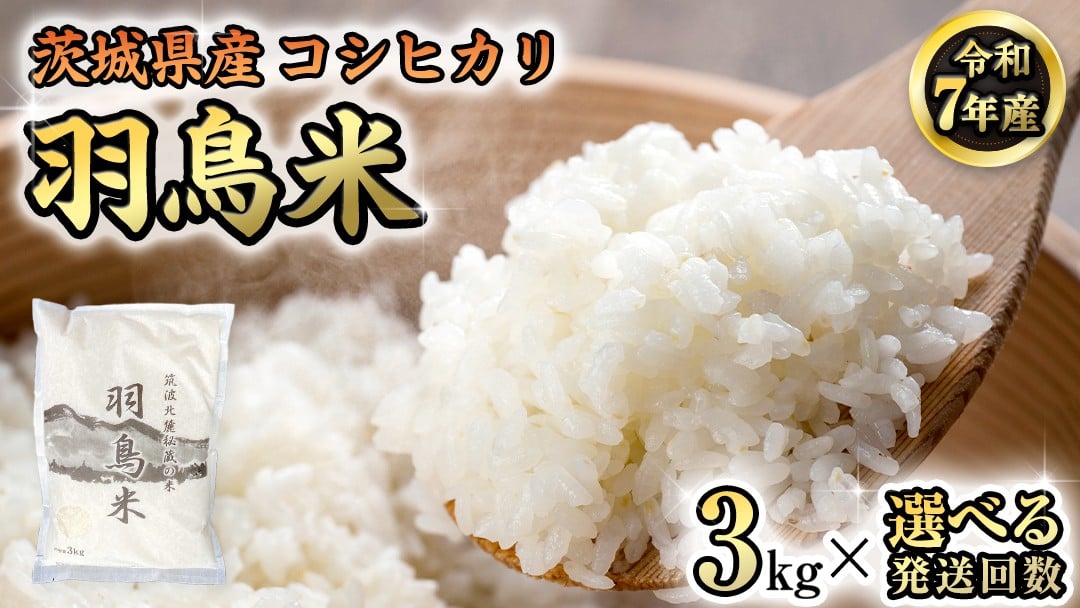 
                  《 令和7年産 先行予約 》【 選べる 回数 】 コシヒカリ 「幻の米 羽鳥米」 3kg 定期便 3回 4回 筑波北麓秘蔵米 米 お米 ごはん 精米 コメ 白米 国産 茨城県 桜川市 限定 期間限定 数量限定 銘柄米 3ヶ月 4ヶ月 [AX005sa00]
                