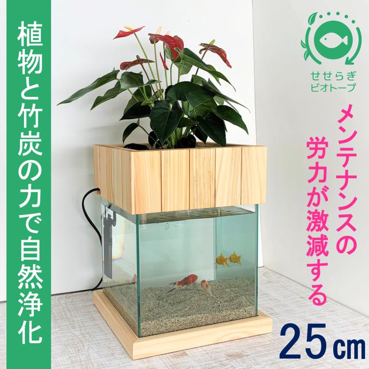 
水槽セット　25cm せせらぎビオトープ　アクアリウム　木枠台　金魚　植物
