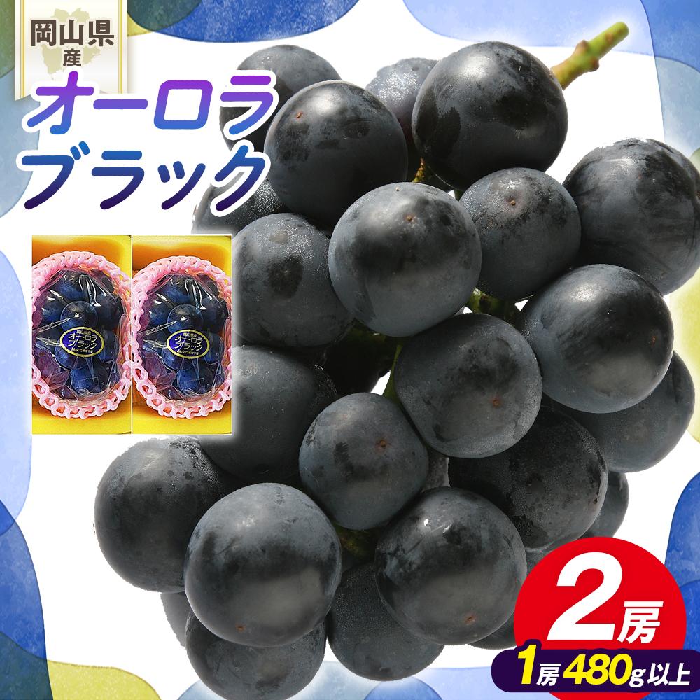 【ふるさと納税】ぶどう 2026年 岡山県産 オーロラブラック2房(1房480g以上)　化粧箱入り | フルーツ 果物 くだもの 食品 人気 おすすめ 送料無料