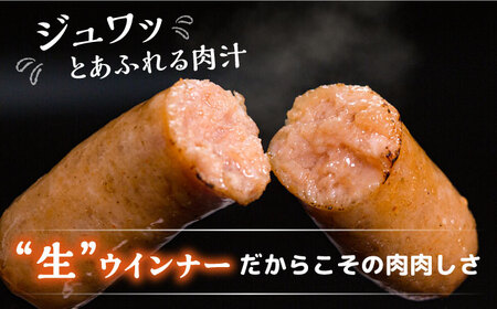 特製 生ハンバーグ 生ハム 生ウインナー 3種 セット 糸島市 / 志摩スモークハウス 肉 加工品 贈り物 [AOA028]