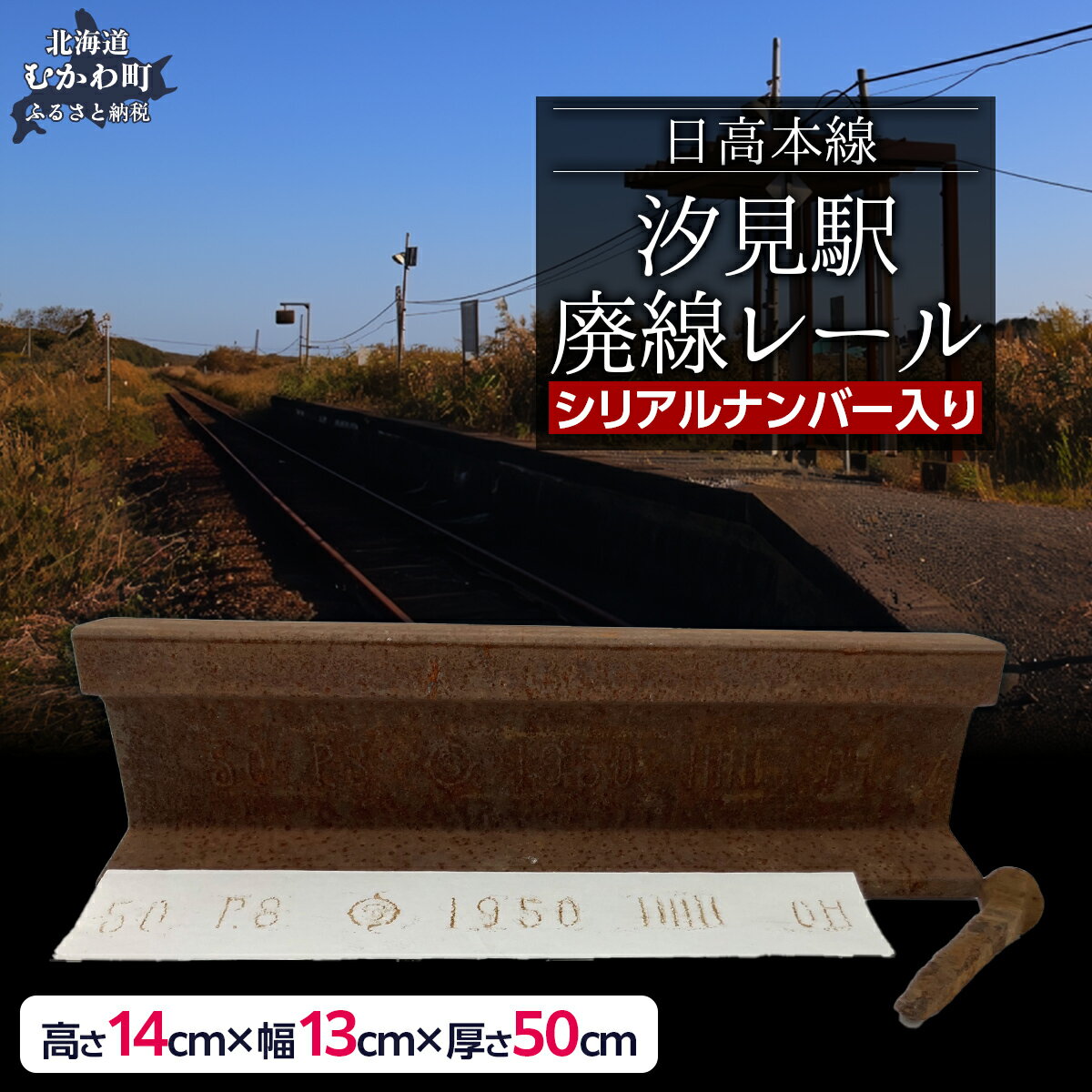 【ふるさと納税】日高本線廃線レール　長さ50cm（数量限定）（シリアルナンバー入り）【 ふるさと納税 人気 おすすめ ランキング 廃線 レール 汐見 置物 限定 北海道 むかわ町 送料無料 】 MKWG034