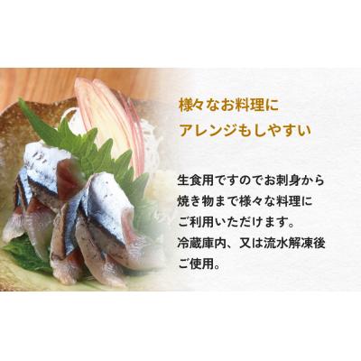 ふるさと納税 石巻市 お刺身 秋刀魚 フィーレ 500g サンマ さんま フィレ 切身 生食用 魚 魚介 海鮮 魚介類 |  | 02