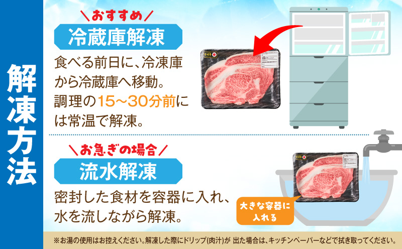 宮崎牛サーロインステーキ2枚 合計400g 霜降り 赤身 旨味