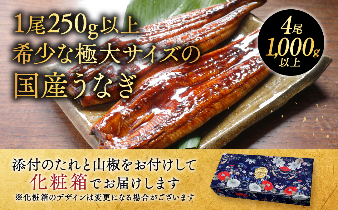 国産 希少 極大 特上うなぎ(250g×4尾)【OT000OE40】