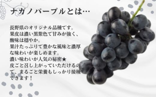 長野県オリジナル品種！果汁たっぷりの甘さをぜひ味わってください！