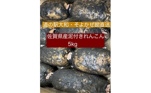 
            農家直送　佐賀県産泥付きれんこん５㎏
          