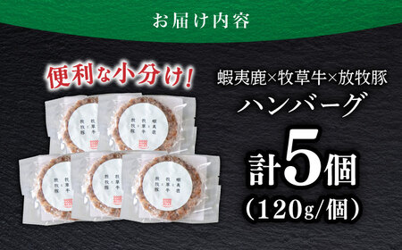 【蝦夷鹿×牧草牛×放牧豚】ハンバーグ 5個  鹿肉 牛肉 豚肉 ジビエ [AXBP003]