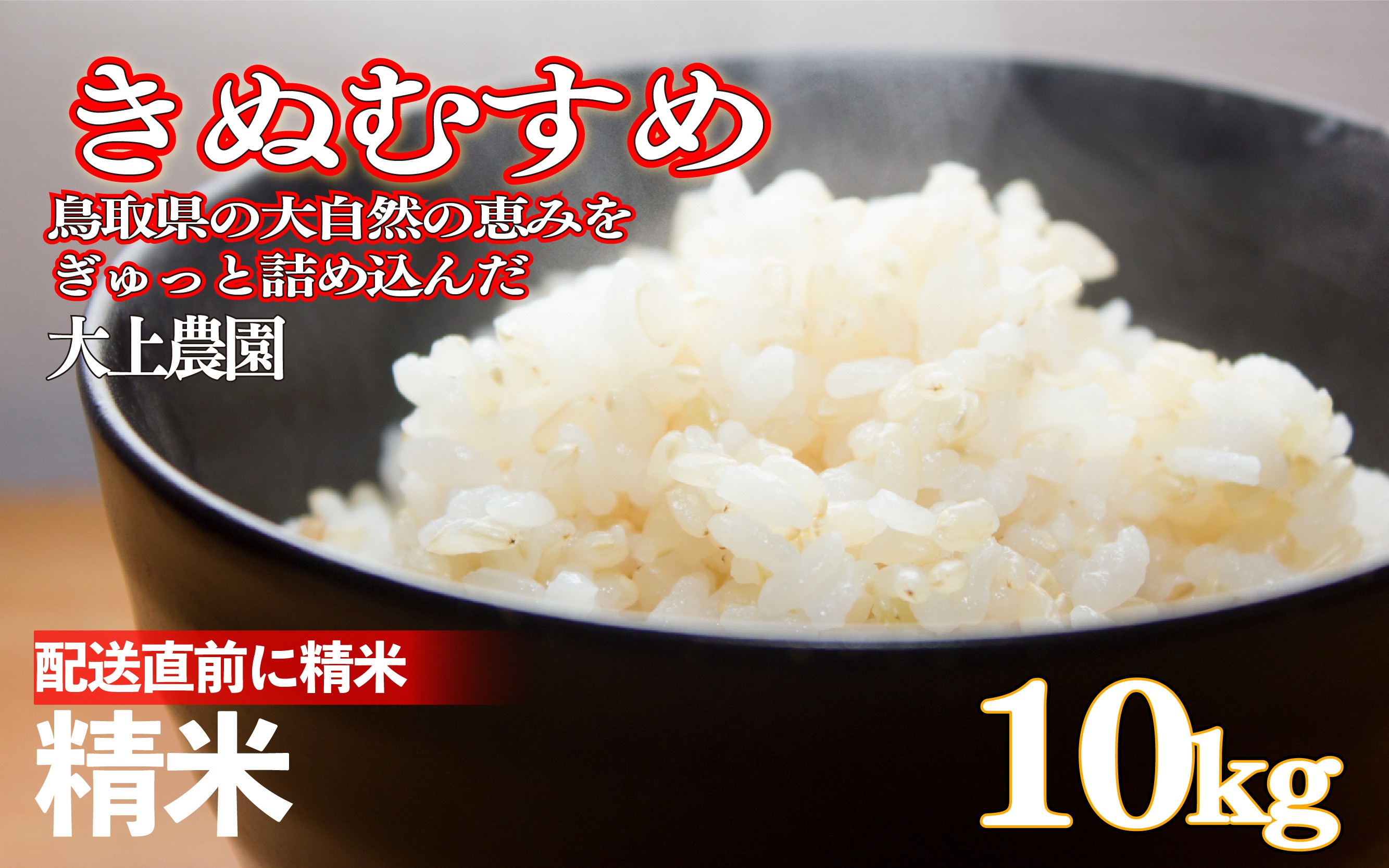 
                  令和7年産 大上農園きぬむすめ精米 10kg｜鳥取県産 令和7年 2025年産 お米 精米 大上農園 やまのおかげ屋【31047】
                