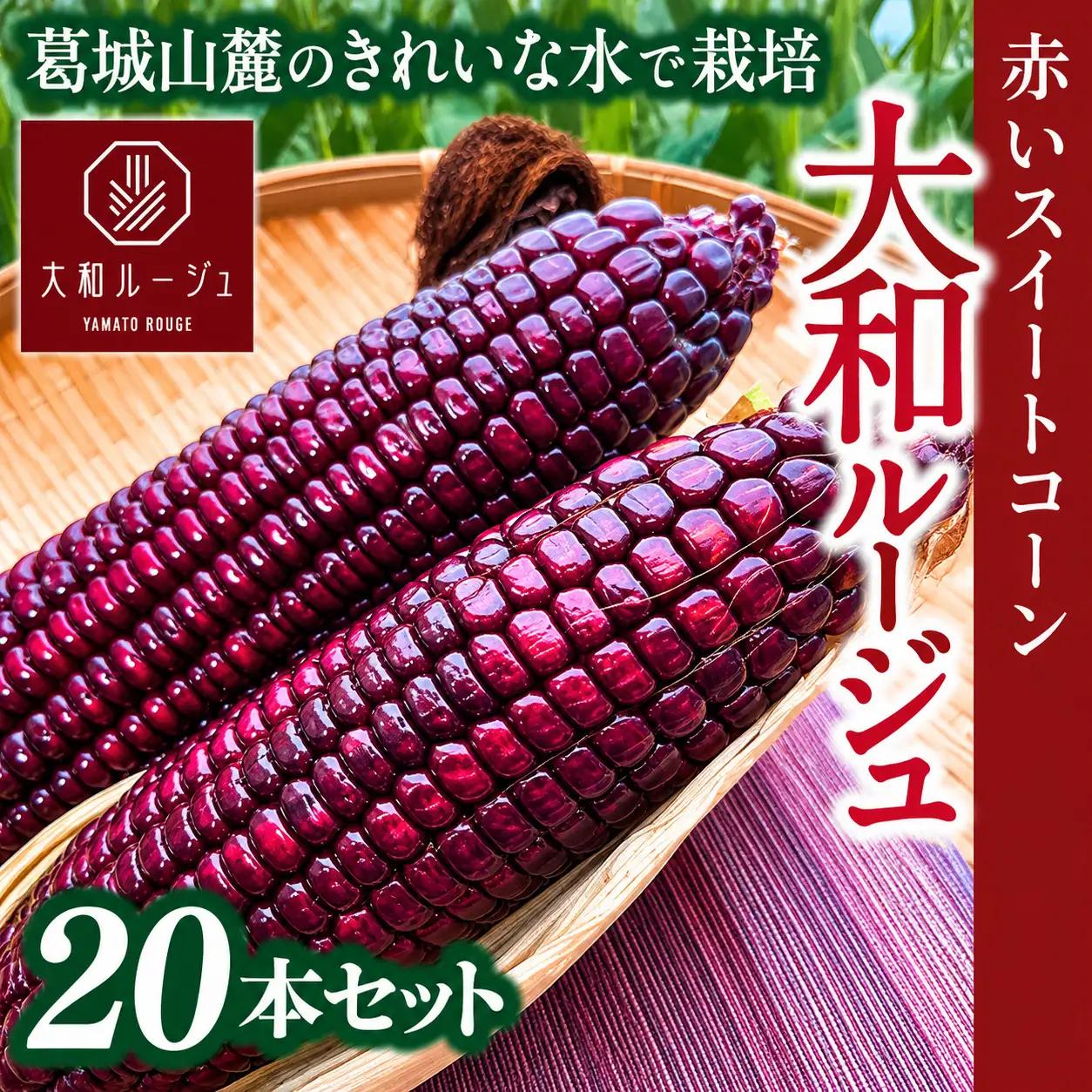 とうもろこし 先行予約 奈良県産 大和ルージュ 計20本 令和8年産 【2026年7月中旬～10月中旬順次発送】葛城市【smlk039】