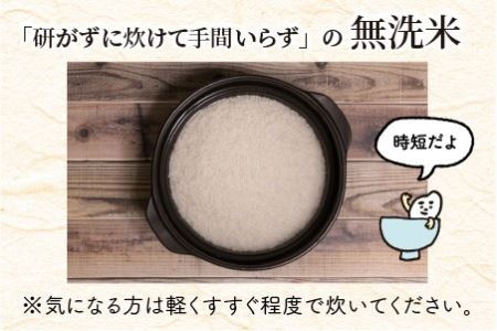 【令和5年産】 定期便 ≪6ヶ月連続お届け≫ 福井県のブランド米 いちほまれ 無洗米 10kg × 6回 計60kg 【 無洗米 人気 品種 ブランド米 特A 】 [K-6155]