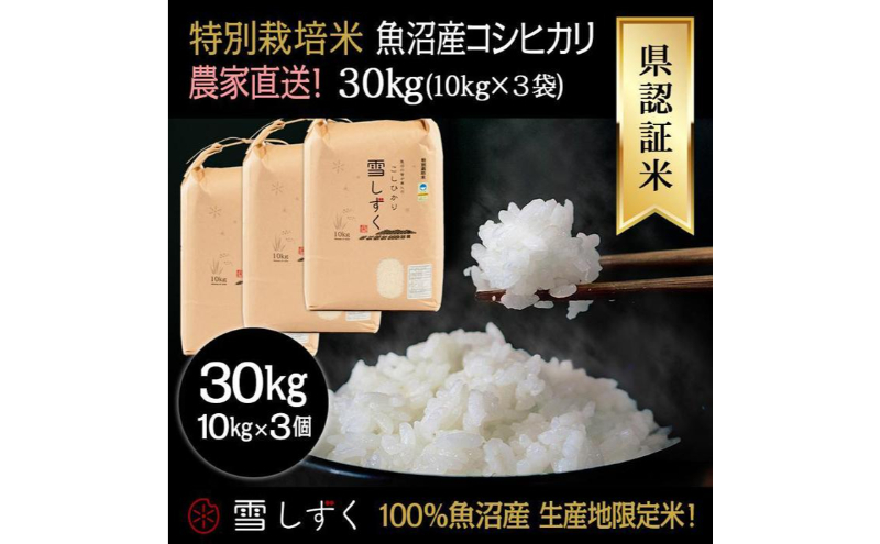 令和8年産！県認証特別栽培魚沼産コシヒカリ【農家直送！】 10kg×3袋 お米 米 コメ