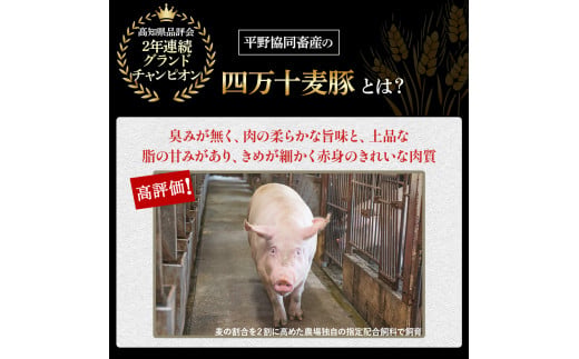 平野協同畜産の「麦豚」しゃぶしゃぶ3種食べ比べ 1.2kg（200ｇ×6パック） 豚肉 麦豚 四万十ポーク ブランド豚 しゃぶしゃぶ 豚しゃぶしゃぶ ロース 肩ロース バラ／Ahc-11