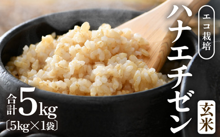 【先行予約】【令和8年産 新米】 エコ栽培ハナエチゼン　玄米5kg ／ 鮮度抜群 福井県産 はなえちぜん ご飯 新鮮 玄米 ※2026年9月上旬以降順次発送予定 [aw063-a015]