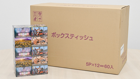 筑西市PR ボックスティッシュ 60箱 ( 5個入り × 12セット ) 1箱200組 400枚 パルプ100% 非売品 ティッシュ ティッシュペーパー 日用品 消耗品 常備品 まとめ買い [EN00