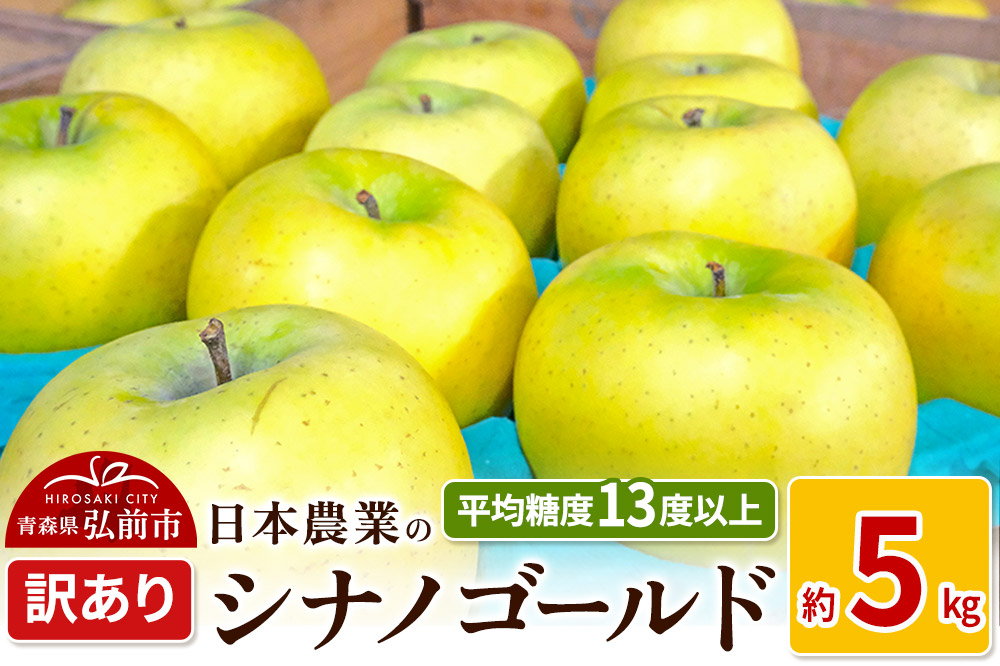 りんご 【先行受付】平均糖度13度以上！ シナノゴールド 約5kg 訳あり