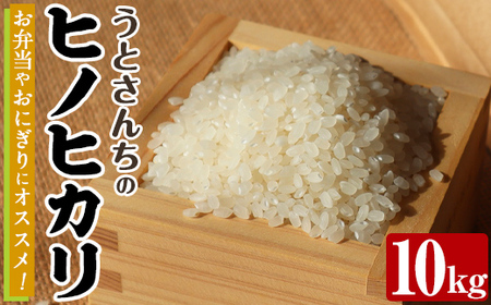 ヒノヒカリ (10kg) 国産 米 お米 コメ 白米 ひのひかり ごはん ご飯 お弁当 おにぎり 【うとさんち】akn067-20