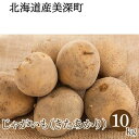 【ふるさと納税】【2024年発送】じゃがいも 10kg（きたあかり）北海道 美深町産 いも ジャガイモ 秋　【 北海道野菜 ホクホク 甘み 根菜 産地直送 】　お届け：2024年9月中旬～2024年10月中旬