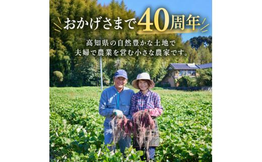 【 冬季 限定 】【 先行予約 】高知県産 熟成紅はるか 極蜜芋 5kg ｜ 紅はるか さつまいも 生芋 熟成芋 高知 焼き芋 やきいも おやつ 農家直送 産地直送 ギフト WADA FARM 高知県