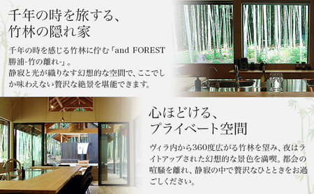 and FOREST勝浦 竹の離れ 宿泊券 1～4名 1泊 ケータリング付き 土・祝前日 株式会社タスマニアンプロジェクト《30日以内に出荷予定(土日祝除く)》千葉県 勝浦市 宿泊券 サウナ付き