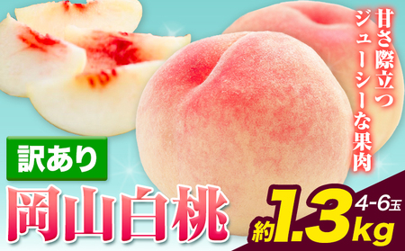 【2025年先行予約】訳あり 白桃 桃 1.3kg ハレノフルーツ （犬塚農園） 《6月末-8月中旬頃出荷》岡山県 浅口市 フルーツ モモ 果物 青果 旬 おかやま夢白桃 白麗 白鳳 清水白桃 なつごころ 加納岩白桃 ご家庭用【配送不可地域あり】（北海道・沖縄・離島）