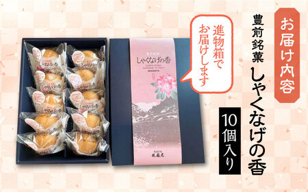 【お中元対象】【進物箱】しゃくなげの香 10個入り《豊前市》【武蔵屋】お中元 ギフト 贈り物 和菓子 [VBU004]