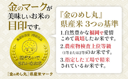 【3回定期便】 令和7年産 白米 金のめし丸 元気つくし 3kg 定期便 3ヵ月 福岡 お米 米 ごはん ご飯 お弁当 おにぎり 金のめし丸県産米 福岡ブランド米 めし丸 ライス rice 飯