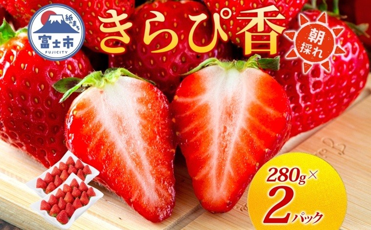 
            期間限定 富士市産 いちご きらぴ香 約280g×2p 朝どれ 新鮮いちご 糖度が高い 甘み 上品な香り 凝縮 爽やか 酸味控えめ みずみずしい なめらか 果物 フルーツ 旬 ギフト 贈り物 【配送不可地域：沖縄・離島】[sf123-003]
          