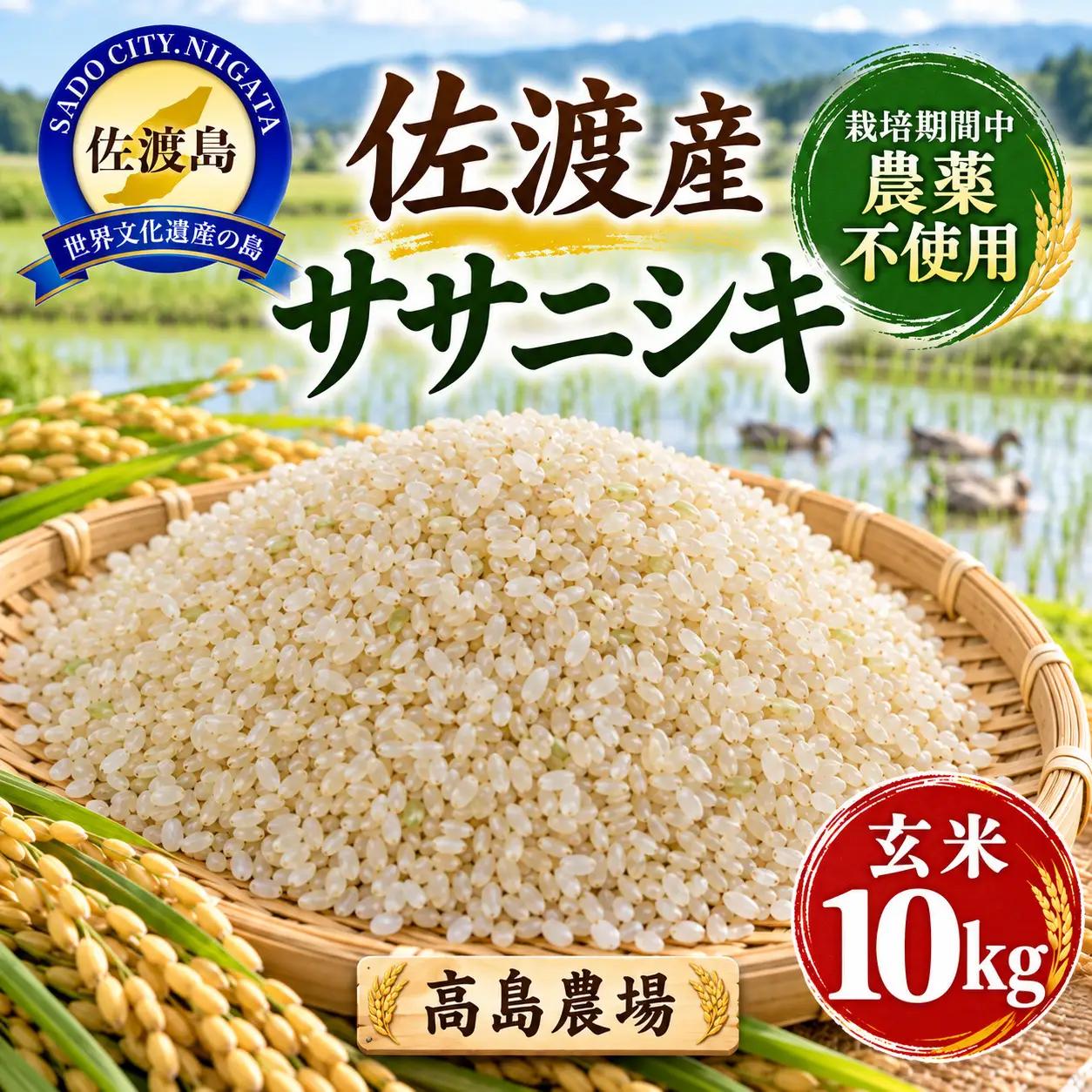 有機農業 10kg 玄米 高島農場 | ササニシキ 新潟県 佐渡市 玄米