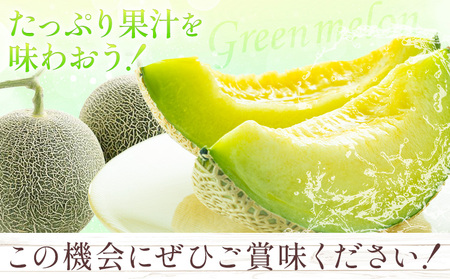 肥後グリーン メロン 2玉 約3.2kg 七城町特産品センター熊本県 菊池市 メロン 果物 フルーツ 九州産 熊本県産 めろん グリーンメロン