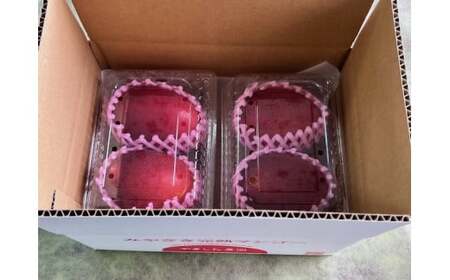 YMPML4＜先行予約＞小さいマンゴーでも味と糖度は贈答用と同じ！Ｍ・Ｌサイズ４玉（1,200g前後） ご家庭用 ちょっと小さめ宮崎完熟マンゴー 