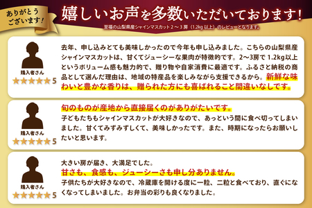 〈2024年度配送分〉至福の山梨県産シャインマスカット 2～3房（1.2kg以上）
