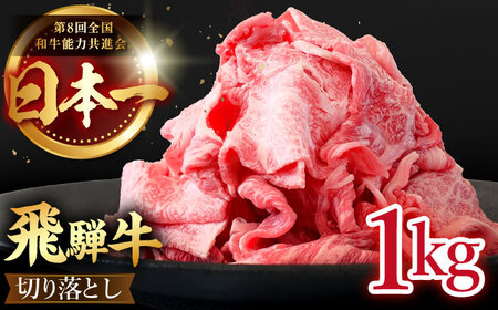 飛騨牛 切り落とし 1kg (250g×4) [TDC013] 牛肉 切り落とし