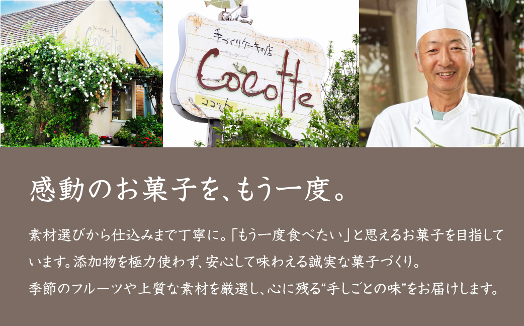 ≪先行予約≫ 数量限定 旬がぎゅっとつまったフルーツゼリー 9個 セット おやつ デザート マンゴー ブラッドオレンジ 小島梨 いちご ブルーベリー 桃 ぶどう グレープフルーツ ジュレ ご褒美 ギフ