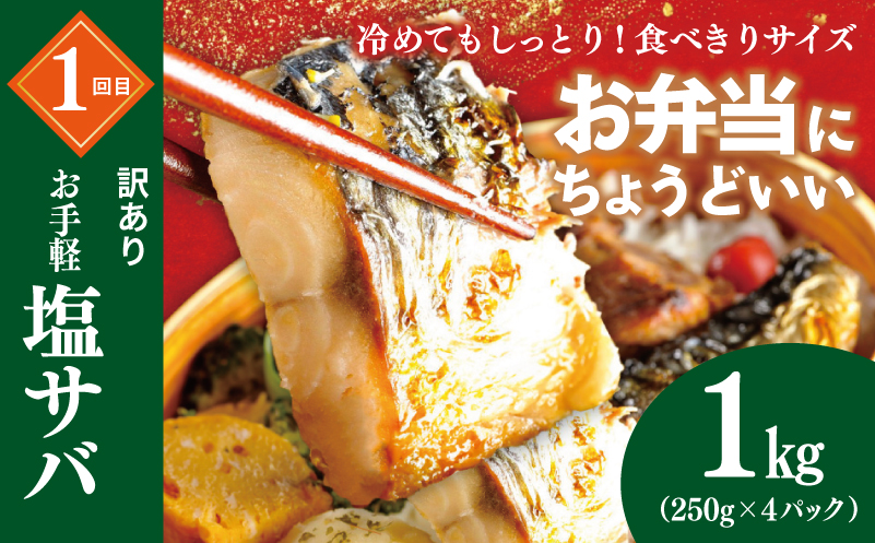 【定期便】栄物産のメッチャえ～やん定期便 全4回【サバ 鯖 さば チャーハン 炒飯 つくね 鶏 牛丼 冷凍 惣菜 おかず 弁当 おつまみ 鍋具材】 099Z582
