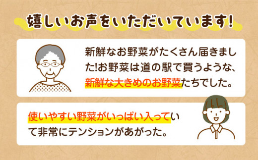 野菜定期便【全3回定期便】 旬の産直市お任せセット （8種以上） 愛媛県大洲市/愛たい菜[AGAP018] 野菜 野菜セット やさいセット サラダ スープ 炒め物 鍋料理 煮物 汁物 料理 和食 野菜 詰め合わせ 新鮮野菜 旬野菜 お試し おまかせセット お任せ 食材セット 宅配 二人暮らし 具材 愛媛県産 大洲市産 産地直送 おすすめ 人気 お取り寄せ 送料無料 3ヶ月定期便 3か月定期便