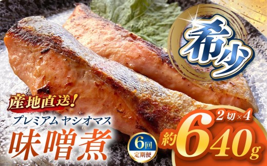 【定期便6回】産地直送栃木県のブランド魚「プレミアムヤシオマス」の味噌漬 2切入×4パック  [ 冷凍便 ] | 魚 ます 養殖 産地直送 栃木県 (毎月お届け）