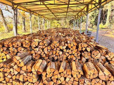 薪 信州産 広葉樹の薪 薪1箱 約20キロ×3箱 合計60キロ 薪長さ：35cm【031-09】