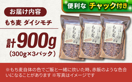 【腸内環境整える健康食品！】白石産もち麦900g 【道の駅しろいしカンパニー】 [IAA003]