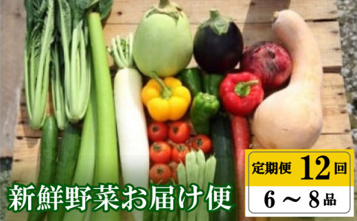 【早期予約】 野菜定期便 12ヶ月 野菜 厳選 季節 旬野菜 セット 6 ～ 8 品 | 野菜 定期便 12回 12ヶ月 12か月 新鮮 採れたて 定番野菜 セット 定期便 詰め合わせ セット きゅう