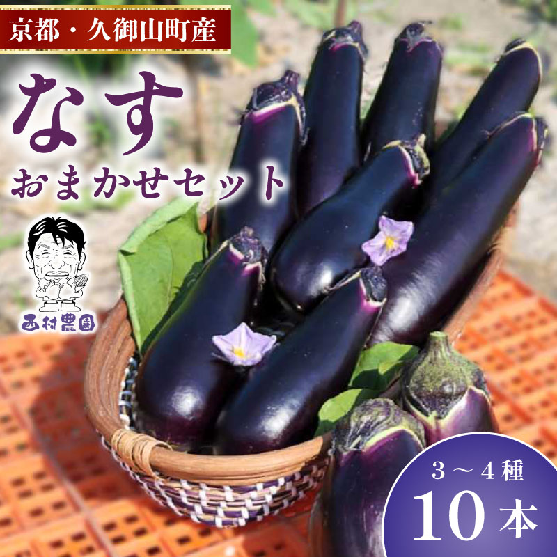 【ふるさと納税】 なす 3～4種類おまかせ10本！（水なす・フルーツなす・千両なす・ふわとろ長なす）ナス 京都 レシピ 人気 野菜