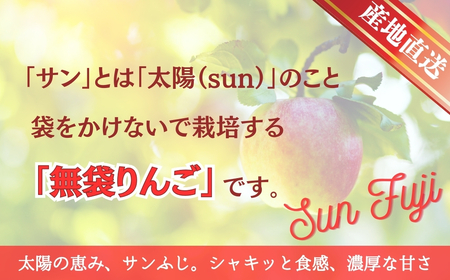 【2025年先行予約】りんご サンふじ 訳あり 約3kg｜ りんご